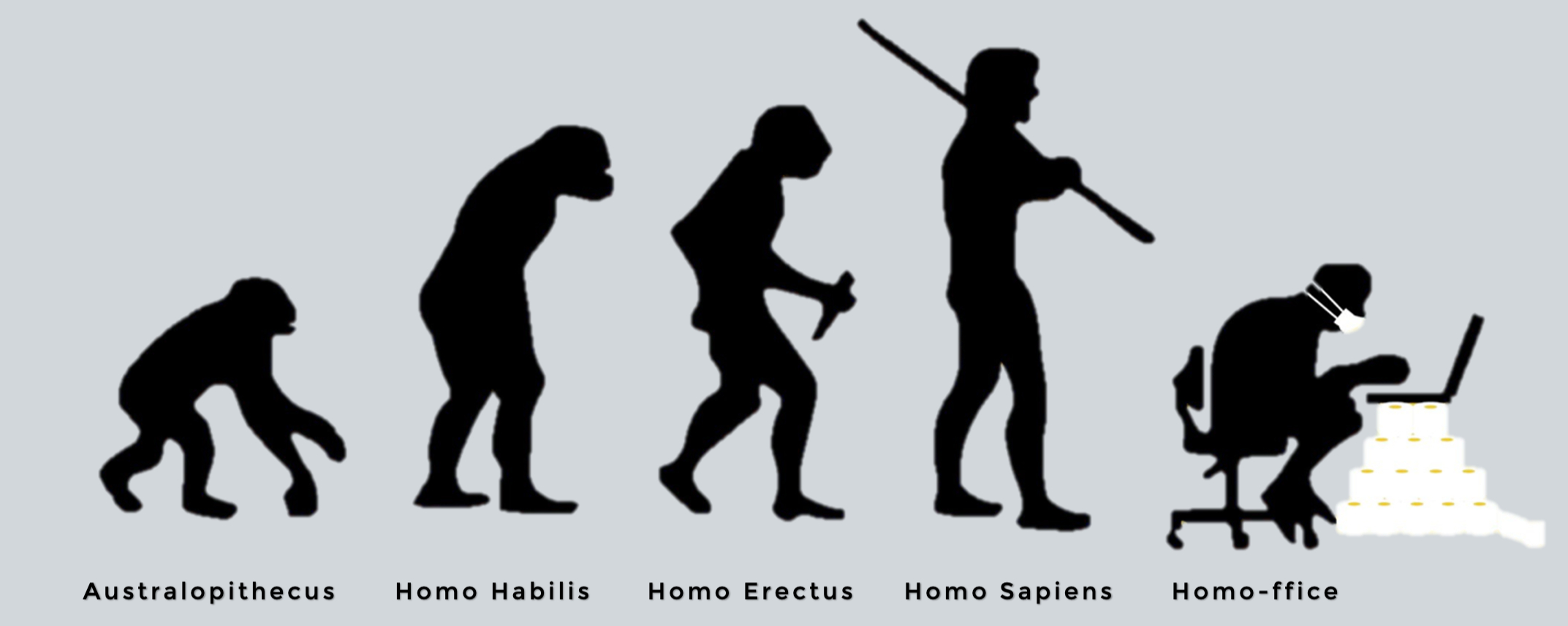 Evolution Homeoffice