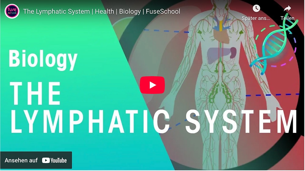 Häufigkeit des sekundären Lymphödems