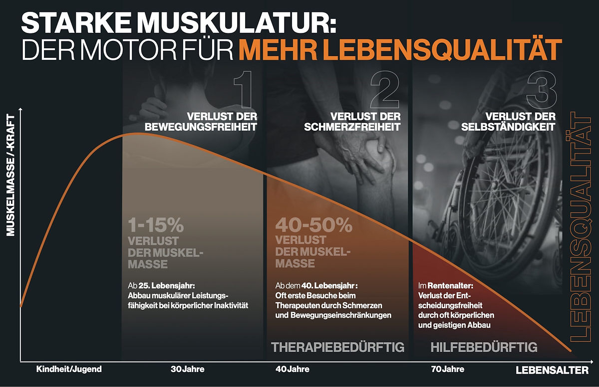 Muskelmasseverlust über die Jahrzehnte